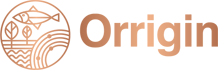 The Orrigin Logo